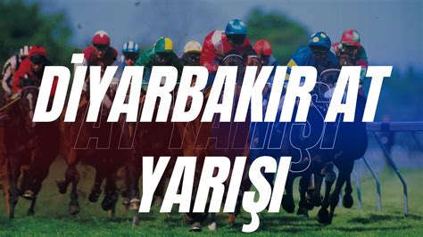 Diyarbakır canlı at yarışı
